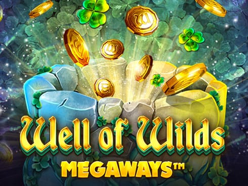 Well of Wilds Megaways screenshot